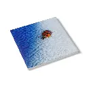 d0a70a89-8638-4bd7-a5de-1ca8376722e0.webp