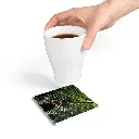 67cc4d47-6532-4a7f-a082-dc529a8d263a.webp