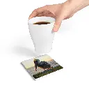 b72edfdb-0c9f-479e-b64d-155c3fe4ed95.webp
