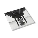 f580cf09-06f9-4edb-bd4e-a1aea40df307.webp