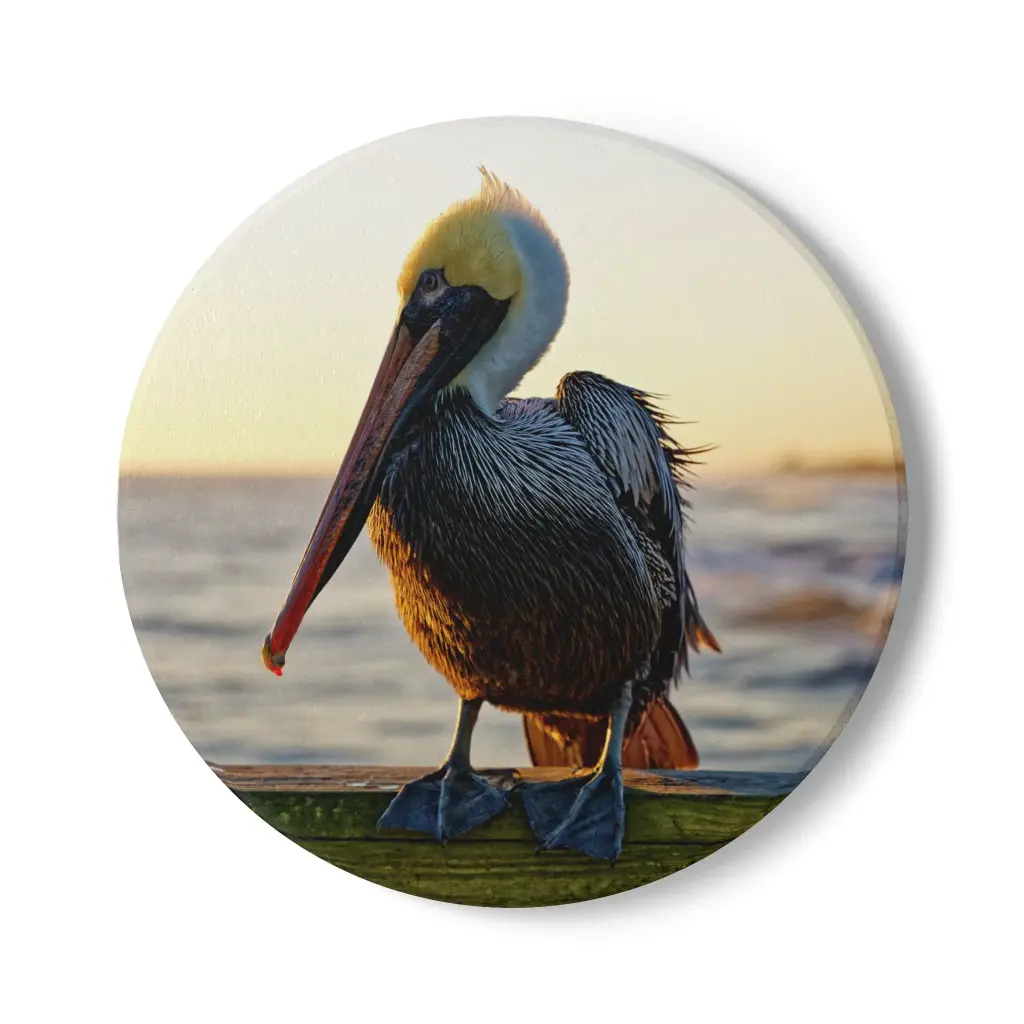 Coaster Pelican (Round)