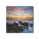 Coaster Marineland (Square) 