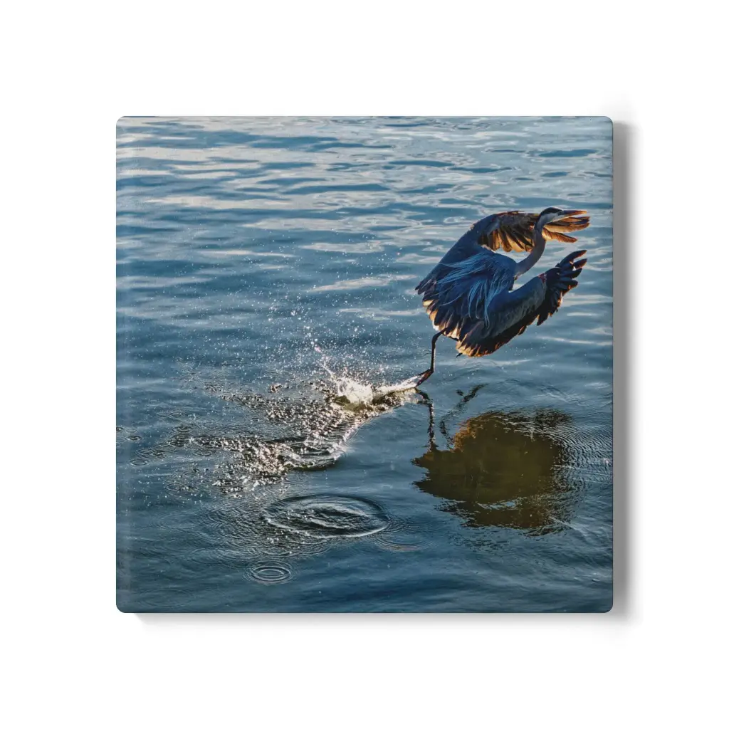 Coaster Egret (Square)