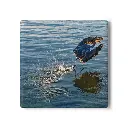 Coaster Egret (Square)