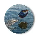 Coaster Egret (Round)