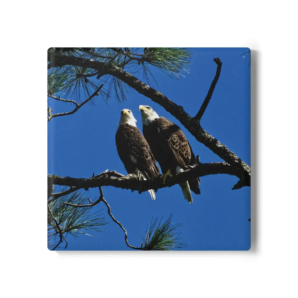 Coaster Eagle (Square)