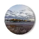 Coaster Crabby Joe's III (Round)