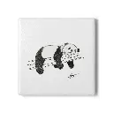 Coaster Sleeping Panda (Square)