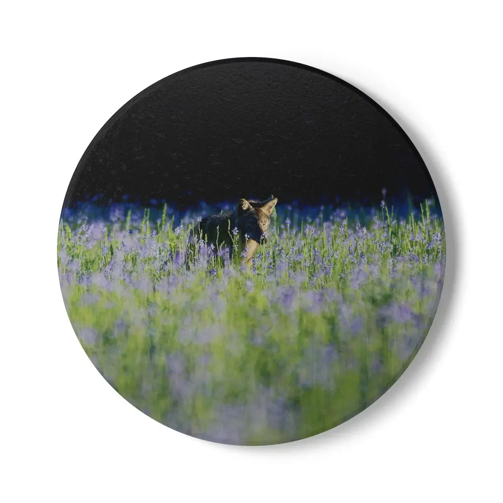 Coaster Coyote (Round)
