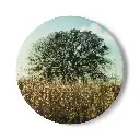 Coaster Tree (Round)