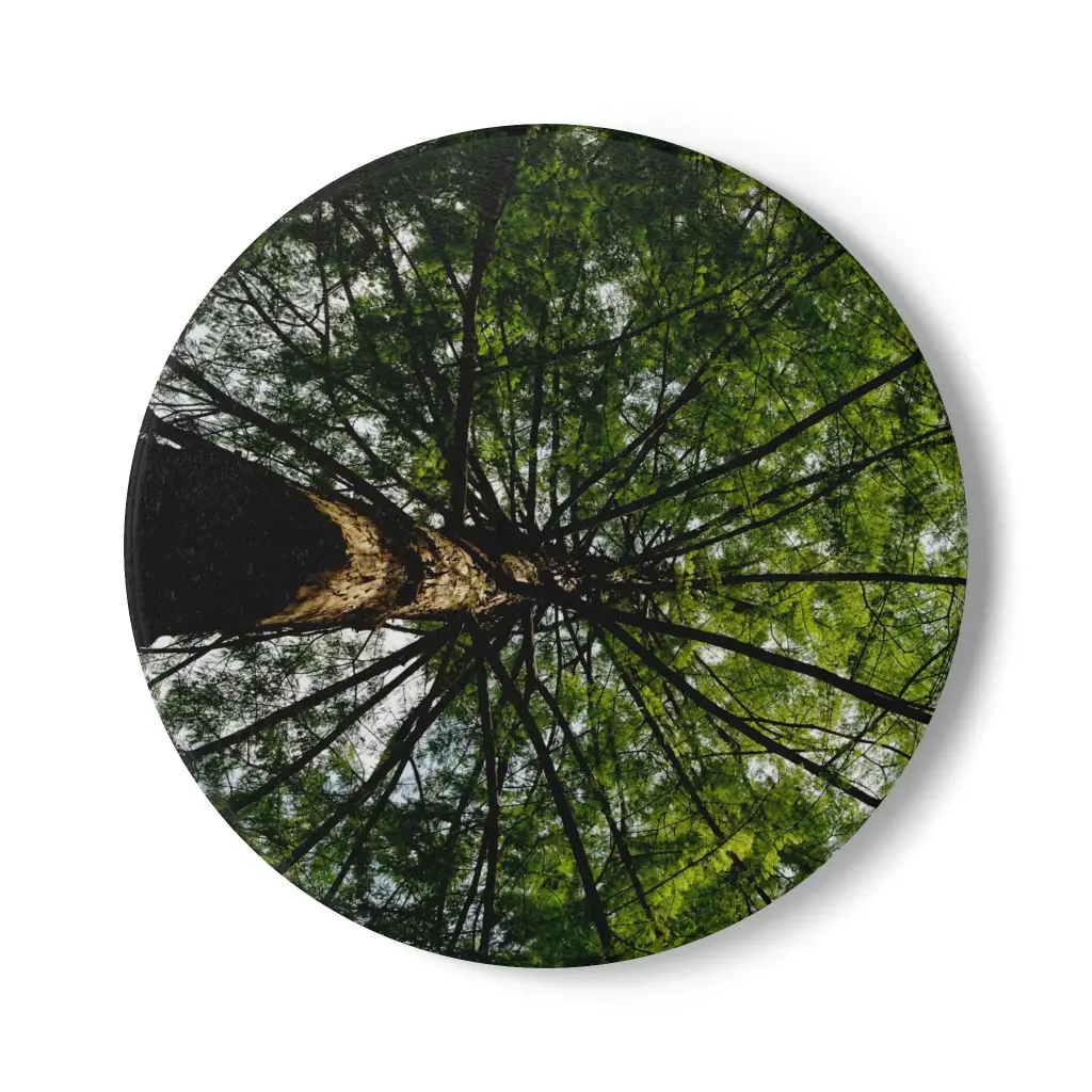 Coaster Tree From Under (Round)