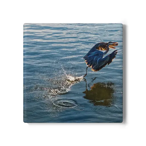 Coaster Egret (Square)
