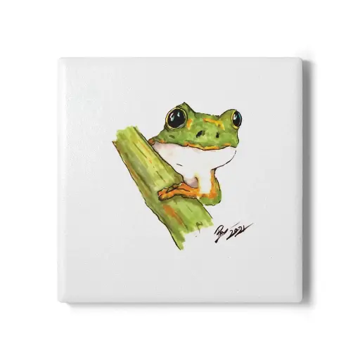 Coaster Little Frog (Square)