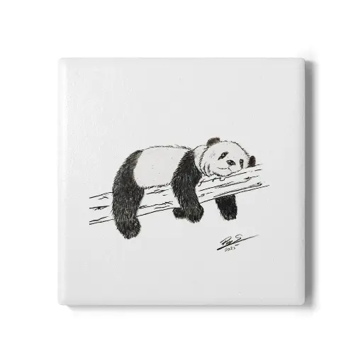 Coaster Sleeping Panda (Square)