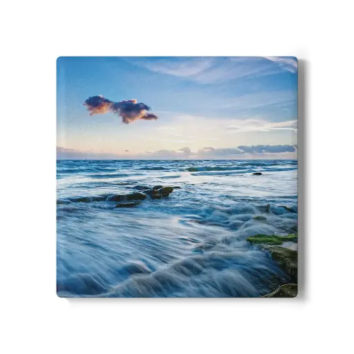 Coaster Marineland II (Square)